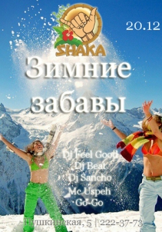 Зимние забавы