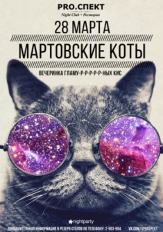 Мартовские коты