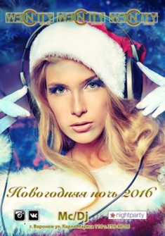 Новогодняя ночь 2016